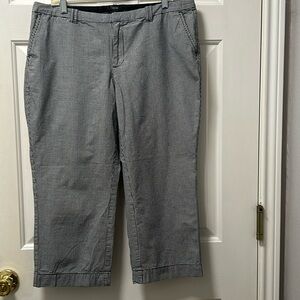 Jacob 100% Cotton Capri size 14